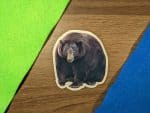 Hank The Tank Fat Bear Sticker | Bear Sticker | Laptop Sticker | Phone Sticker | Decal