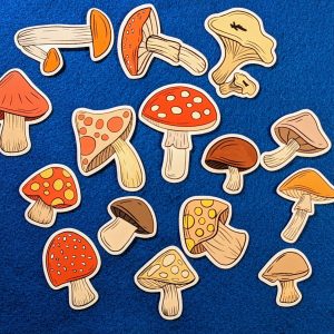 Mushroom drawing sticker pack | 15 Stickers | Vinyl