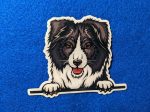 Adorable Border Collie Sticker, Border Collie Stickers, Vinyl Sticker, Gift For Pet Owner, Gift For Vets, Collie