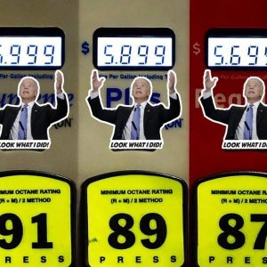 I did that Biden Sticker 10 Pack Funny Sticker Waterproof Vinyl Decals USA Gas Prices