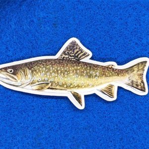 Adult Male Brook Trout Vinyl Sticker, Fish Sticker perfect for Canoes, Kayaks, Water Bottles