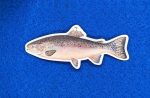 Rainbow Trout Vinyl Sticker, Fish Sticker perfect for Canoes, Kayaks, Water Bottles