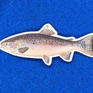 Rainbow Trout Vinyl Sticker, Fish Sticker perfect for Canoes, Kayaks, Water Bottles