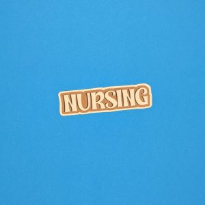 Nursing Sticker -  Gift for Nurses - Nurse Stickers - Nursing Student Sticker