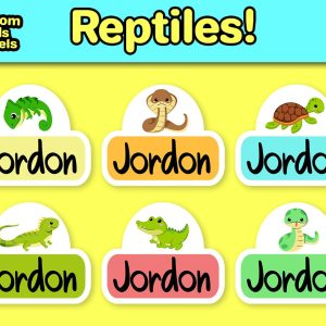 Cute Custom Daycare Labels | 12 Dishwasher Safe Labels | Personalized Reptile School Supply Labels