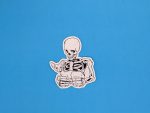 Skeleton holding a sphynx cat sticker - Skeleton Stickers - Cat stickers - Skull Sticker - Laptop sticker