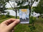 Hilarious 'The Fool' Cat Tarot Card Sticker for a Purr-fectly Unique Touch