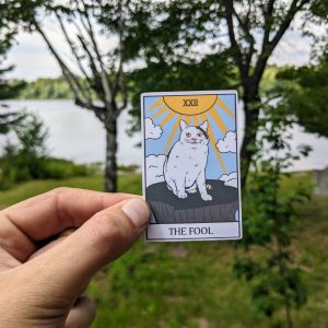 Hilarious 'The Fool' Cat Tarot Card Sticker for a Purr-fectly Unique Touch