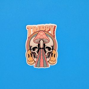 Trippy Sticker - Psychedelic Mushroom Skull decal for  laptops, waterbottles, kindles