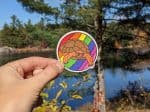 Groovy Pride Turtle | LGBTQIA2S+ Sticker, Pride Sticker, LGBT Sticker, Turtle Sticker
