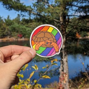 Groovy Pride Turtle | LGBTQIA2S+ Sticker, Pride Sticker, LGBT Sticker, Turtle Sticker