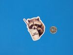 Cute Raccoon Stay Hydrated Sticker - Raccoon Sticker for kindles, laptops, water bottles